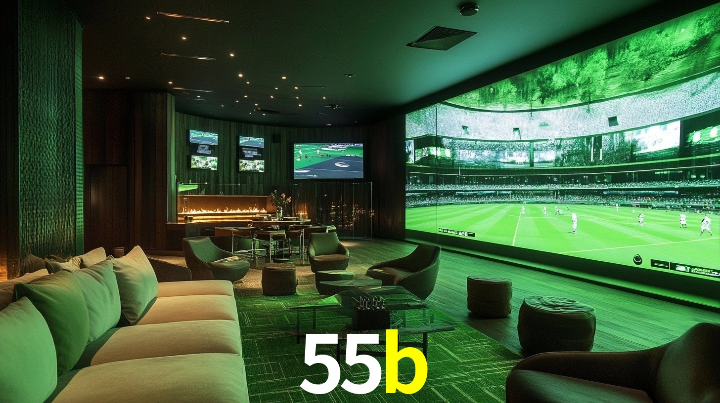 55b.com